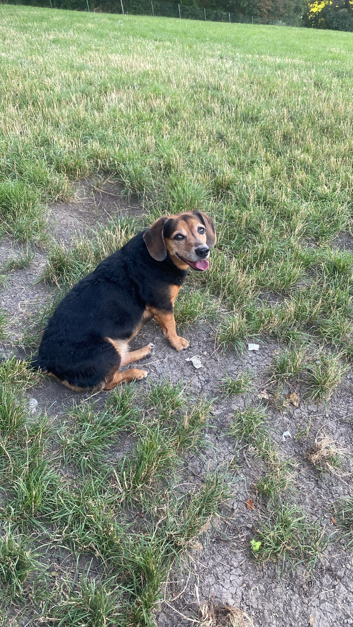 Chiffon cake by the window