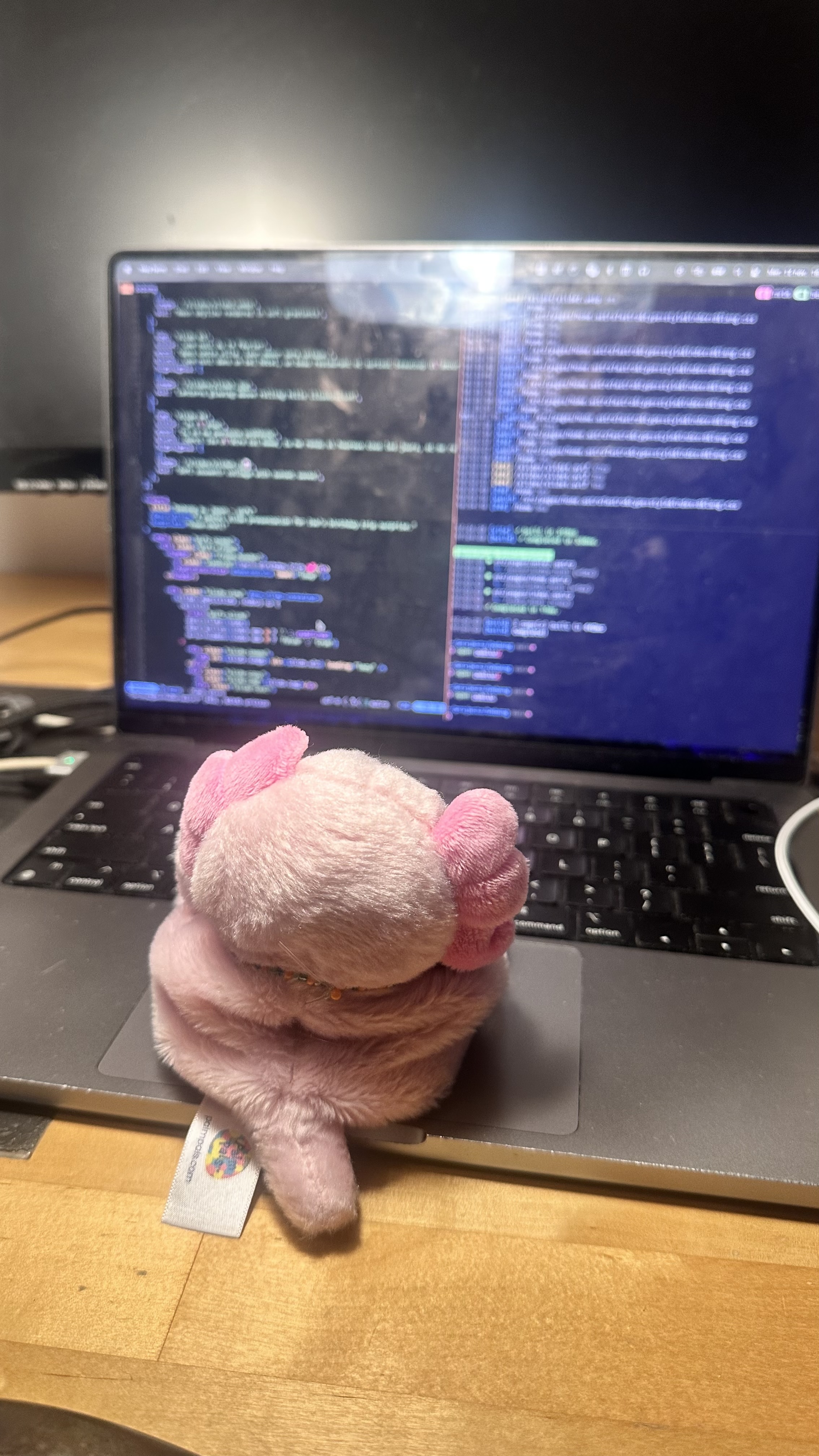 Soft souvenir collage with sunset waves